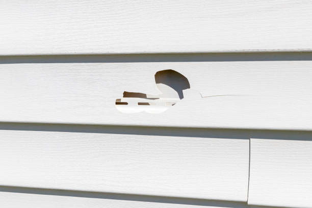 Best Construction Debris Removal  in Lone Jack, MO